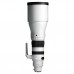 Sigma 300-600mm f/4 DG OS Sports - L-Mount